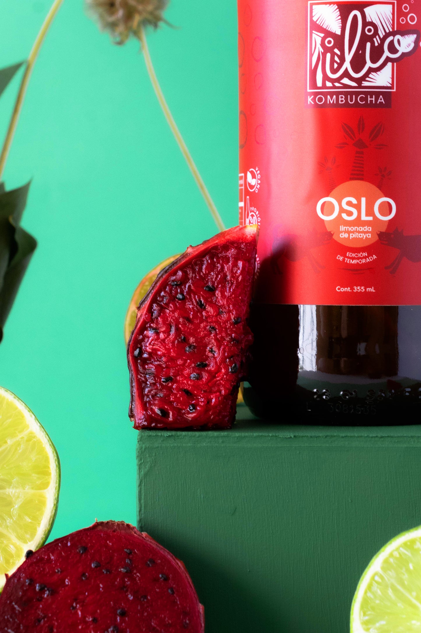 Oslo | Limonada de Pitaya